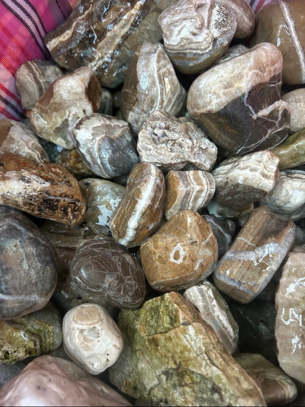 4.5 lbs California coast ready to tumble rocks